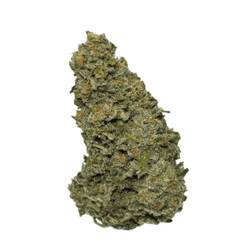 Wellford Aquaponic 26/1 GTH Ghost Train Haze
