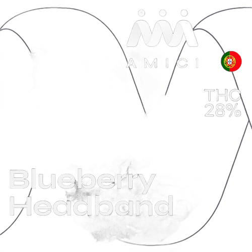 28/1 Amici BH Blueberry Headband