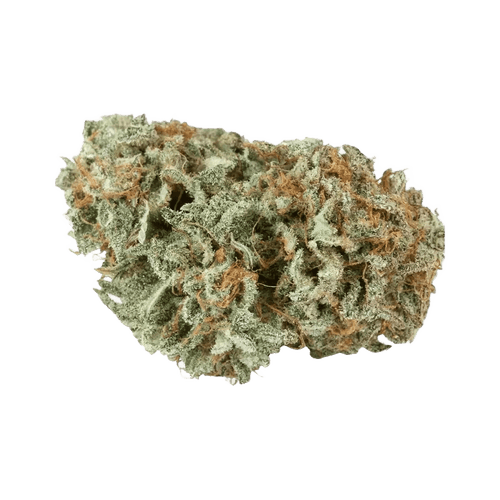 LIT 33/1 MKU Master Kush
