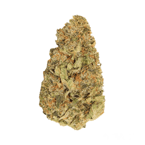 HiDealz 24/1 MS LIB Liberty Haze smalls