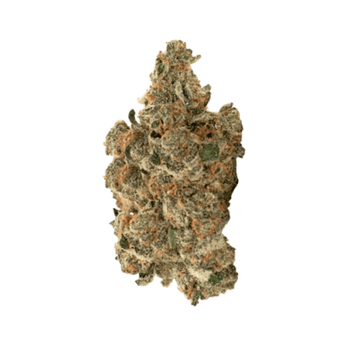 Buuo 28/1 MB Meatbreath