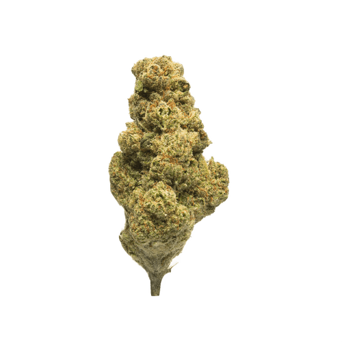 Suprobion PB 22/1 Papaya Bomb