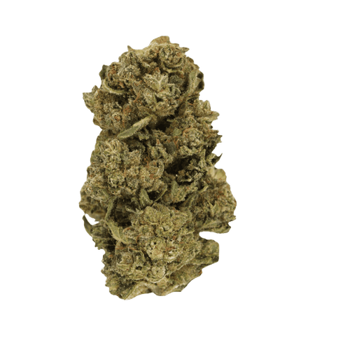 enua 25/1 CBC CA Citron Biker Cookies