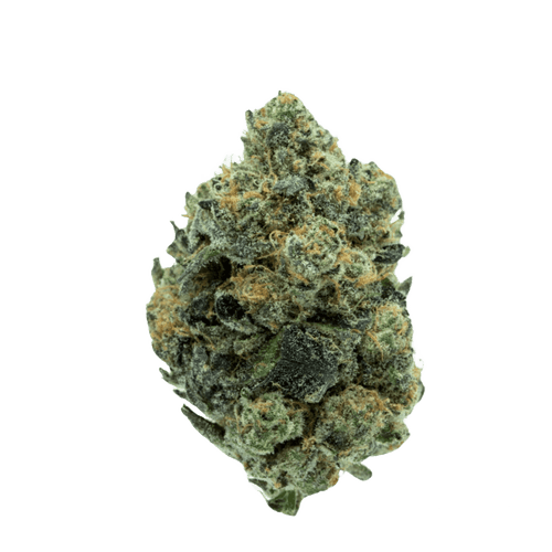 TRUU GT 31:01 Cookies OG