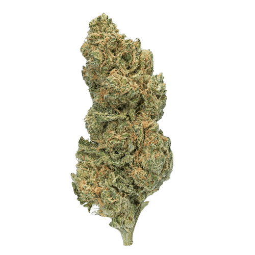 enua 25/1 E85 G13 Ultra