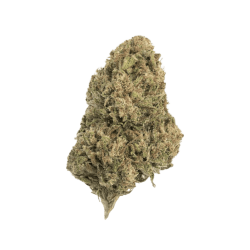 Coyote Valley 20/1 OGP OG Poison