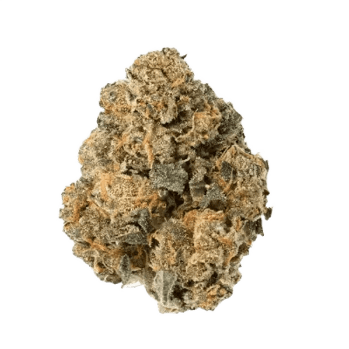 Medical Saints 24/1 ACB Acai Berry