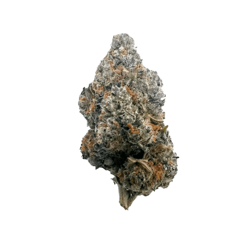 Luana 24/1 GSC Girl Scout Cookies