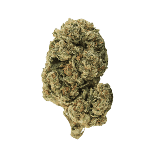 SKK WWZ 21/1 White Widow Haze