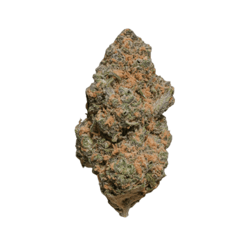 AMP Trichome Malibu THC22 Malibu