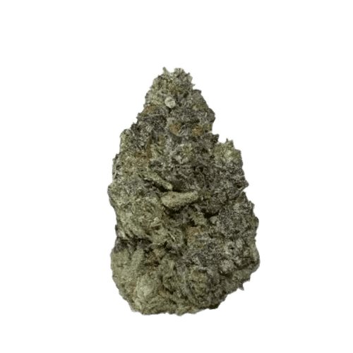 enua 27/1 MMN CA Marshmallow Man