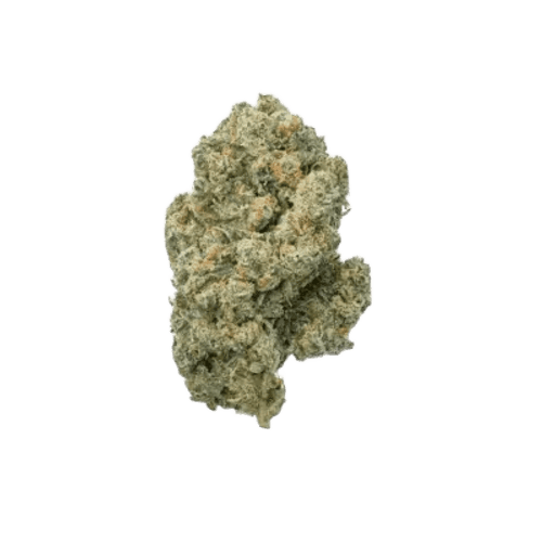 Balancial 24/1 PT S1 JH Jack Herer
