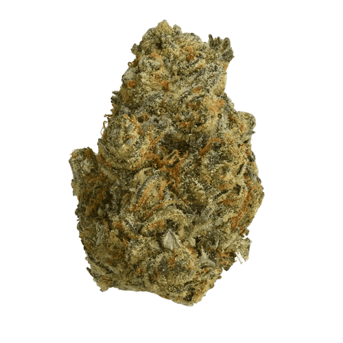Patagonia HB 30/1 Haze Breath