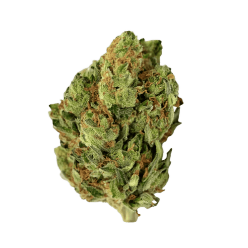 High Greens SG 28/1 Sunset Gas