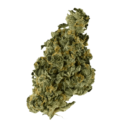 Demecan Core Saxonia 30:01 Wedding Cake x Jet Fuel Gelato