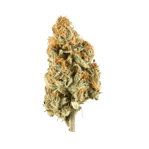 Demecan GT Lean Drop 22/1 Citron Cookies x Biker Kush