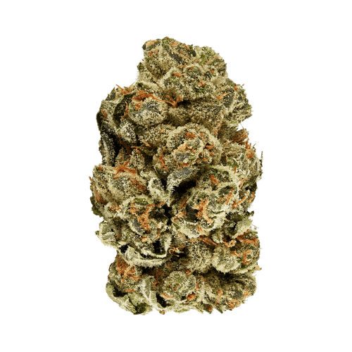 Hycann KCO 27/1 CA Kush Cookies