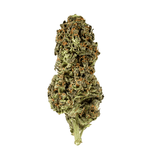 Galaxia Organic Living Soil WRM 15/1 White Runtz x Mintz