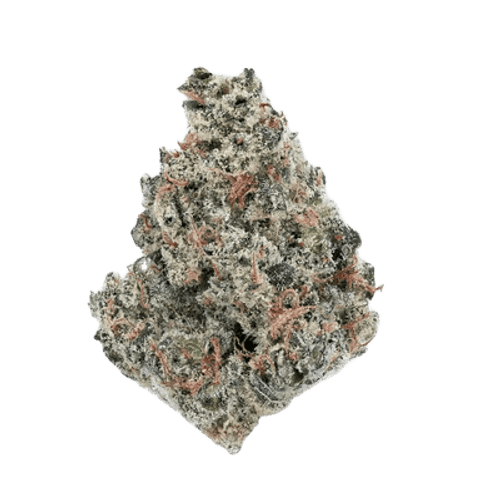 420 Evolution 22/1 CA MGD Magic Gum Drop