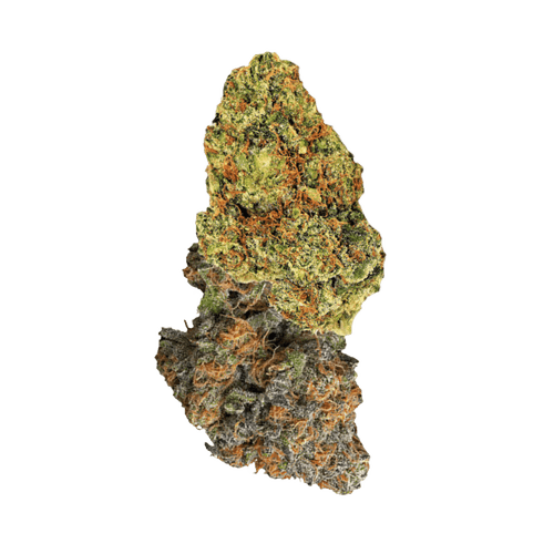 Ekolicious 27/1 GPG Grape Goat