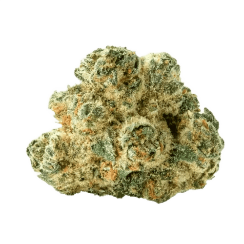 avaay 31/1 SPC Space Cake