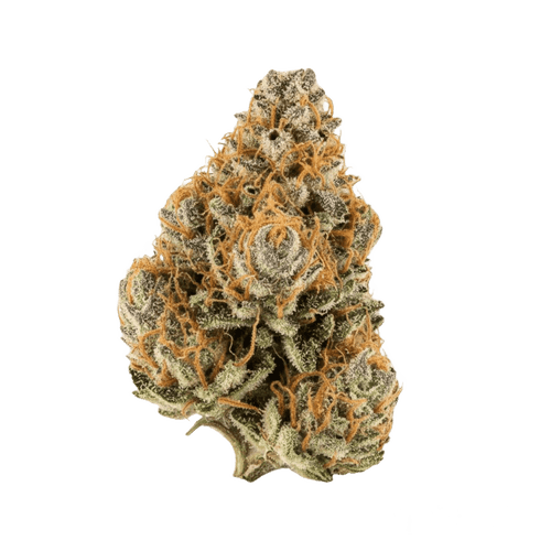 Demecan Core ORNG 19:01 Orange Dreamsicle