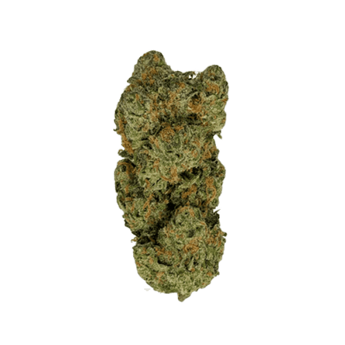 Bathera 25/1 GMO smalls