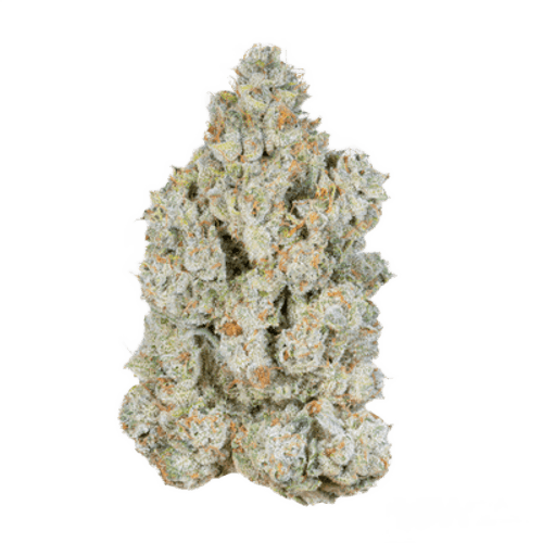 ZOIKS 22/1 ALM Alienmax