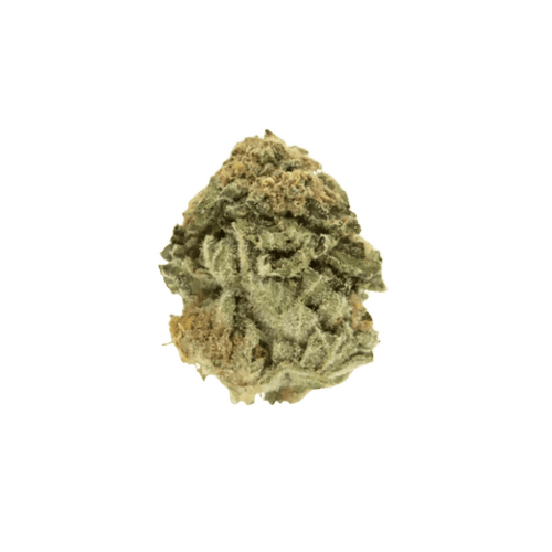 NICE 26/1 LVC Lava Cake