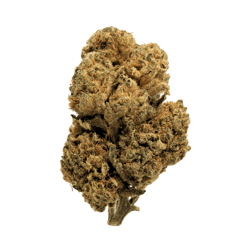 Hexa 21/1 GEL Gelato #33