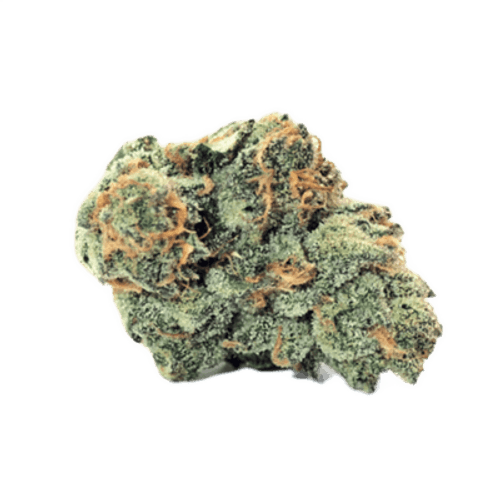 Demecan Core OZK x CC 24:01 OZ Kush x Coffin Candy