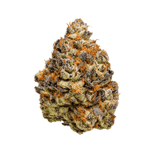 Sitka Legends 24/1 RUH Ruby Haze