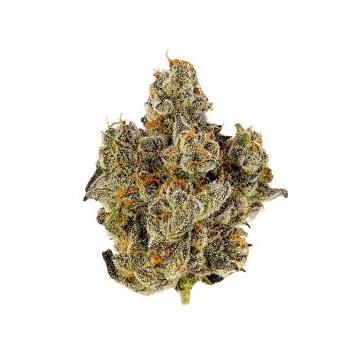 30/1 IUVO OC Platinum Oranges