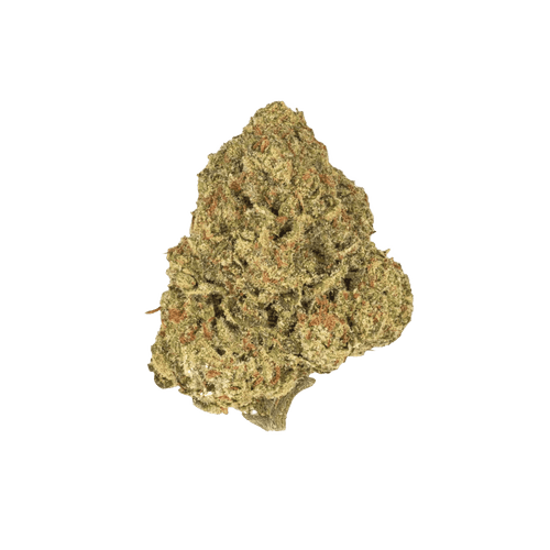 PHENO 22/1 SHG Sherbet Haze Gelato