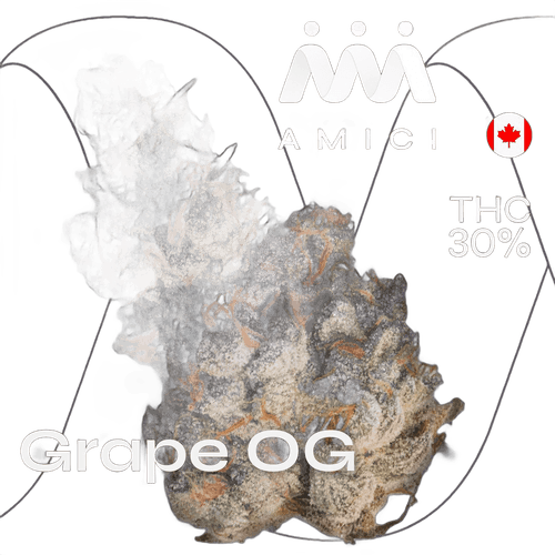 30/1 AMICI GROG Grape OG