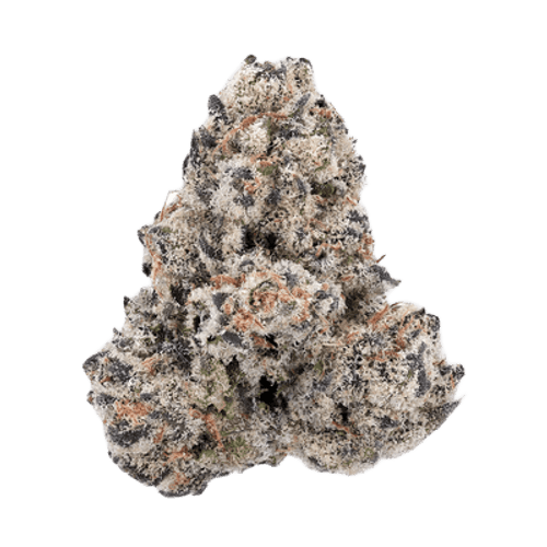 Canthera Budget 24/1 PAB Papaya Bomb