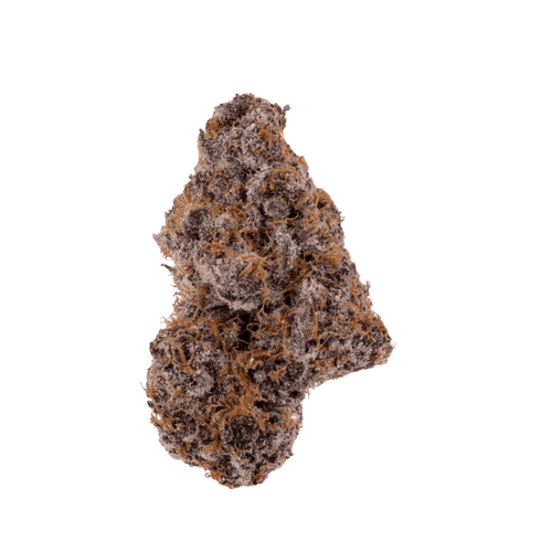 Slouu 27/1 PS3 CA GCB God Cherry Bud