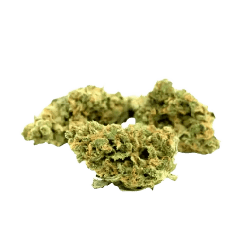 Weeco WW 24/1 DK White Widow