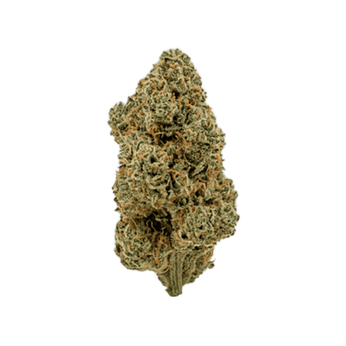 AMP KHI PUP THC25 Purple Planet