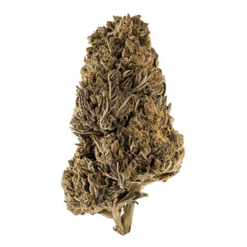 Firegold 30/1 LED Lemon Diesel