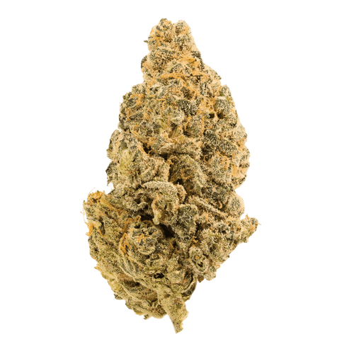 Hi Society BCC 28/1 Blueberry Cheesecake