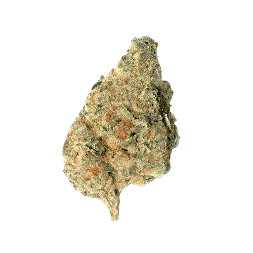 HiDealz 24/1 MS PAB Papaya Bomb smalls