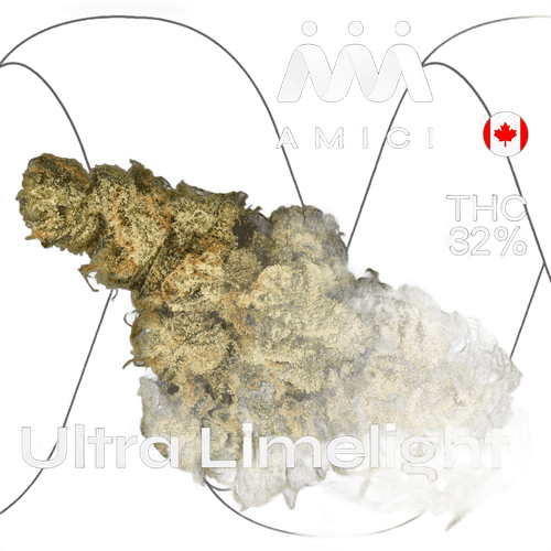 Amici 32/1 UL Ultra Limelight