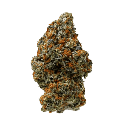 Island Genetics KOGP 27/1 Kool Grapes