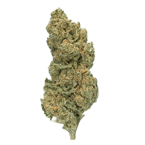 enua 27/1 E85 G13 Ultra