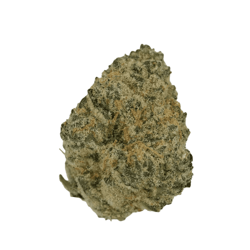 Cannamedical Sativa Ultra 28/1 NM Polar Cookies