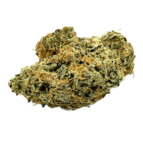 Nimbus easy 30/1 La Sage