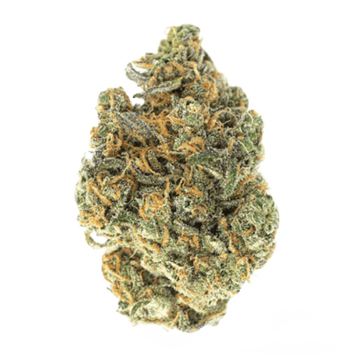 Luana 20/1 Starhaze OG