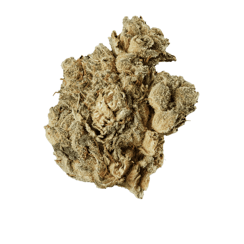 Tilray Craft Cannabisblüten THC28 PPV Platinum Pave