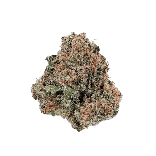 Will C. 27/1 LBR LA Biker